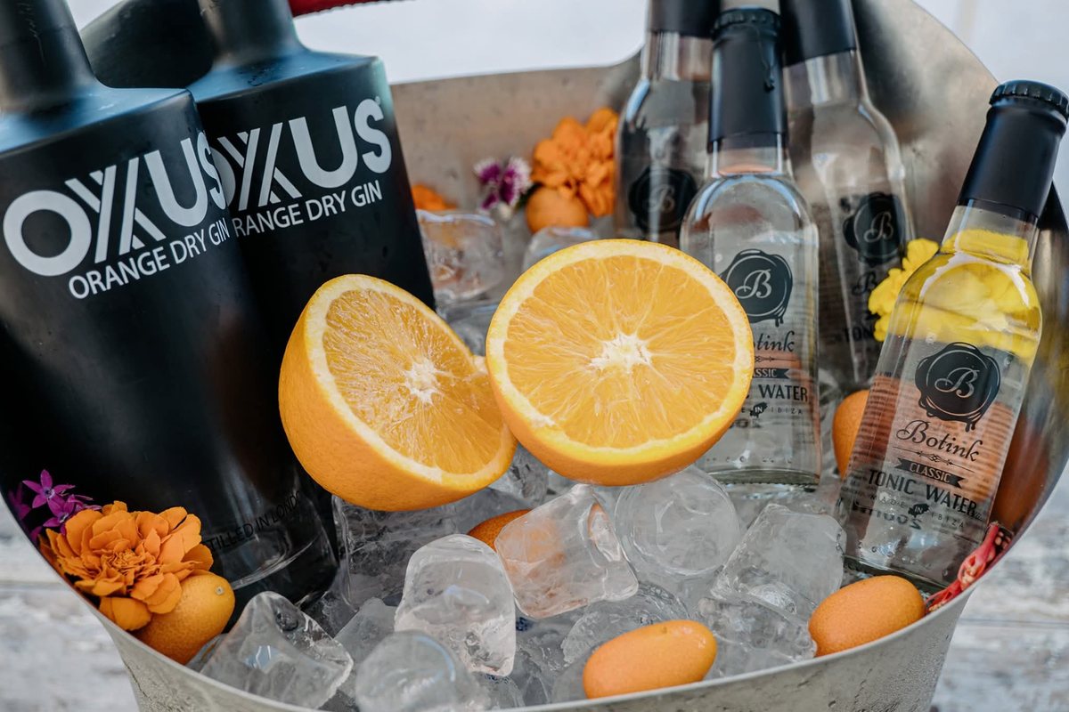 Premium gin served with orange, botanicals and tonic on ice